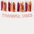 Thankful Vibes Banner, Friendsgiving Banner, Thanksgiving Decorations, Friendsgiving Decorations, Fall Banner, Friendsgiving Humor Banner