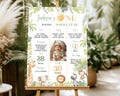 Wild One 1st Birthday Milestone Photo Sign, Safari Party Decor Milestone Poster, Wild One Birthday Decorations. Editable & Printable. A010