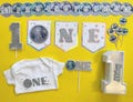 ONEderful Disco Ball Collection First Birthday Celebration Disco Ball party New Year Eve Celebration Welcome 2025 dance