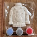 Christmas jumper paint your own kit