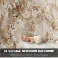 14 Vintage Backdrop, Newborn Backdrop, Digital Vintage Background for Baby Photography