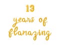 13 YEARS OF FLAMAZING Cursive Letter Balloon Banner - Gold, Rose Gold & Silver - 13th Birthday Party Decorations - 16" Balloons Party Decor