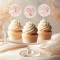 Editable Teddy Bear Girl Baby Shower Cupcake Toppers, Party Decor, Pink and White Boho Balloons, Digital Template Bundle, BSG003