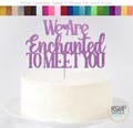 We Are Enchanted To Meet You Cake Topper, Swiftie Baby Shower Cake Topper, Taylor Gender Reveal Party Decor, Swift Baby Shower Decorations