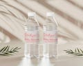 Editable Teddy Bear Girl Baby Shower Watter Bottle Labels, Party Decor, Pink and White Boho Balloons, Digital Template Bundle, BSG003