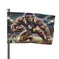 Flag: Florida State Seminoles College Flag, Sports Fan Wall Decor, Game Day Banner, NCAA Team Spirit Pennant, Dorm Room Decoration