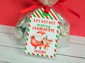 PRINTED Christmas Tags, Santa Tags, Christmas Treat Tags, Kids Holiday Tags, Classroom Party Tags, Personalized Christmas Tags