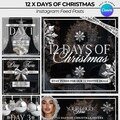12 Days of Christmas, Editable Templates, Christmas Offers, Silver and Black Theme, Edit in Canva, Beauty business offers, December Offers
