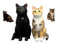 Personalized Cat Cake Topper - Cat Wedding Cake Topper - Cat Lover's Anniversary - Wedding Cake Topper - Pet Cake Topper