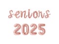 SENIORS 2025 Cursive Letter Balloon Banner - Gold, Rose Gold & Silver - Senior Night Party Decorations - Party Supply Decor For Graduates