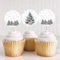 Baby It's Cold Outside Baby Shower Cupcake Toppers, December Baby Shower, Winter Baby Shower, Wonderland Shower, Snowflake Baby Shower, A158