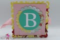 Horizontal Pink and Teal Be Mine! Banner Decoration 54 in Long- Valentine's Day Decoration Creative Wall Decor Gift Idea