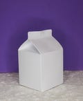 Milk Carton Favor Box