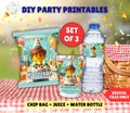 Building Block Birthday TRIO Bundle Editable Chip Bag Juice Label Water Bottle Label Printable Template Digital File Only Instant Download