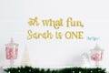 Oh What Fun Name Is One, Christmas 1st Birthday, Oh What Fun is one, Winter 1st birthday banner, Custom oh what fun banner, Holiday birthday