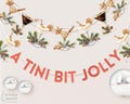 A Tini Bit Jolly | A Tini Bit Festive | A Tini Bit Merry | Party Decor | Christmas Party Decor | Christmas Cocktails | Christmas Party