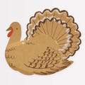 Thanksgiving Turkey Plates, Set of 16 Turkey Plates with Gold Foil Details From Meri Meri