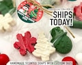 Christmas Soap Gifts - 3 Soaps Per Bag - Holiday Party Favors, Winter Baby Shower, Bulk Guest Gifts, Snowflake Tree Snowman Santa Shapes