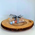 Car Party Favor, Racecar Party Favors, Two Fast Birthday Party, Racecar Goodie Bags, Painting Kit for Kids, Toddler Activities